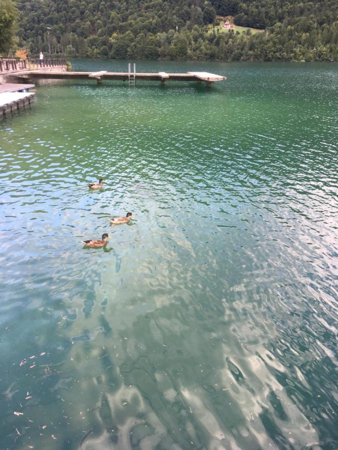 Casa A Schiera Fronte Lago Con Giardino Барчис Екстериор снимка